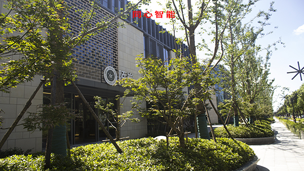 蜜桃AV网址大全虹祺路商業街建設智能化