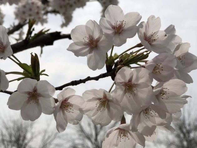 春暖花開忙踏青 安全防範在身邊